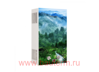 Газовая колонка GLS 20-10 G NG 20кВт 10л/мин дымоход Горы и лес VIVAT