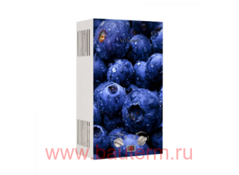 Газовая колонка GLS 20-10 L NG 20кВт 10л/мин дымоход Черника VIVAT