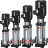    , CDLF, CDL 10-2, 7,5 